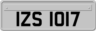 IZS1017