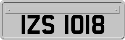 IZS1018