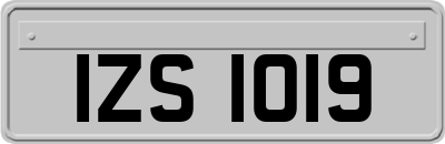 IZS1019