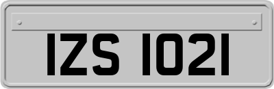 IZS1021