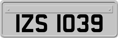 IZS1039