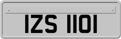 IZS1101