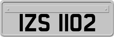 IZS1102