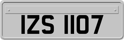IZS1107