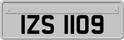IZS1109