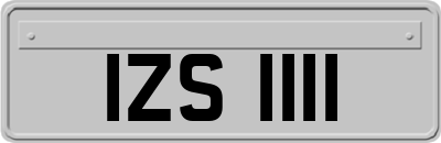IZS1111