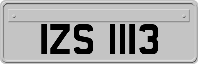 IZS1113