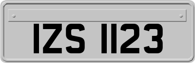IZS1123