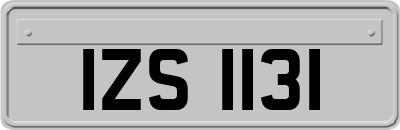 IZS1131