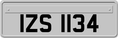 IZS1134