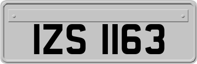 IZS1163
