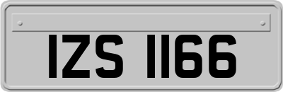 IZS1166