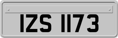 IZS1173