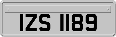 IZS1189
