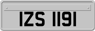 IZS1191