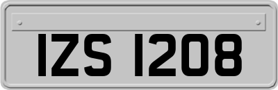 IZS1208