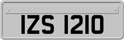 IZS1210