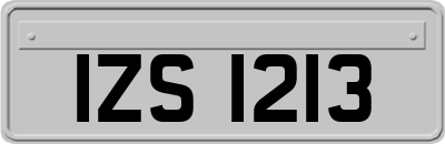 IZS1213