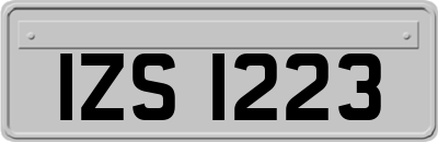 IZS1223