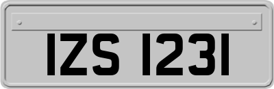 IZS1231