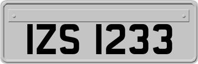 IZS1233