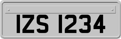 IZS1234