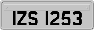 IZS1253
