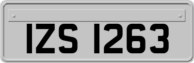 IZS1263