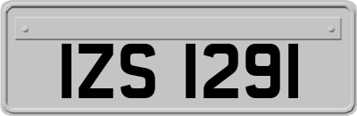 IZS1291