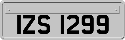 IZS1299