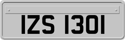 IZS1301
