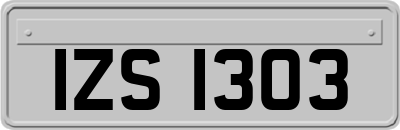 IZS1303