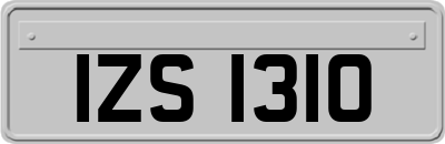 IZS1310