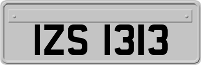 IZS1313