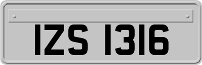 IZS1316