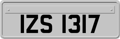 IZS1317