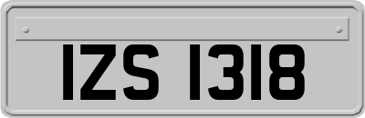 IZS1318