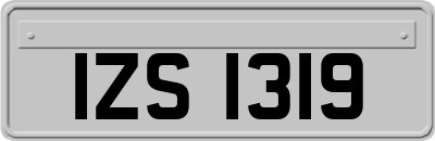 IZS1319