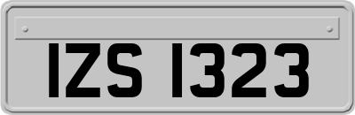IZS1323