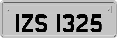 IZS1325