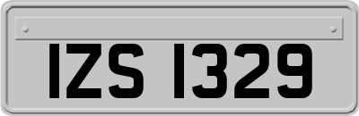 IZS1329