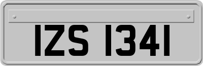 IZS1341
