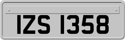 IZS1358