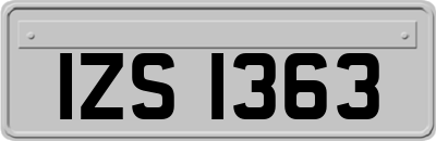 IZS1363