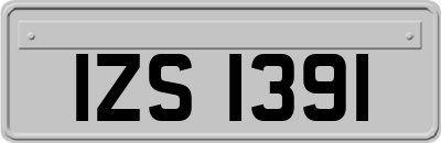 IZS1391