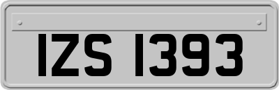 IZS1393