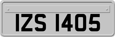 IZS1405