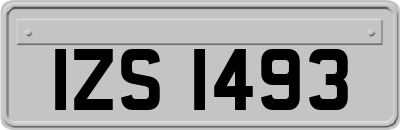 IZS1493