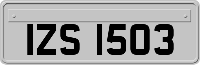 IZS1503