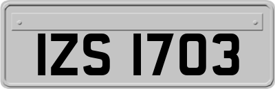 IZS1703